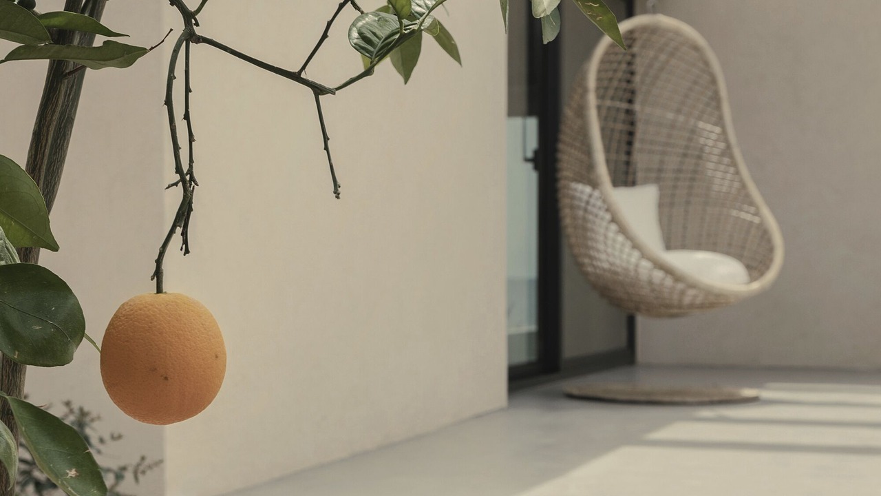 Photo of Outdoor in Preveza