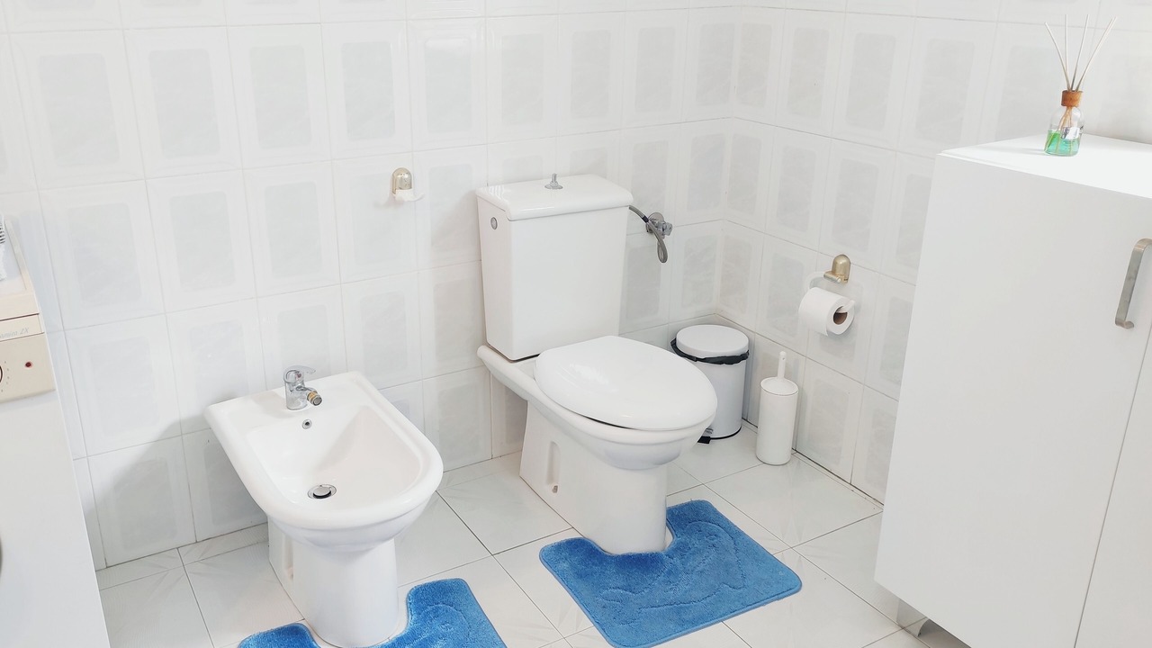 Photo of Bathroom in Divjake