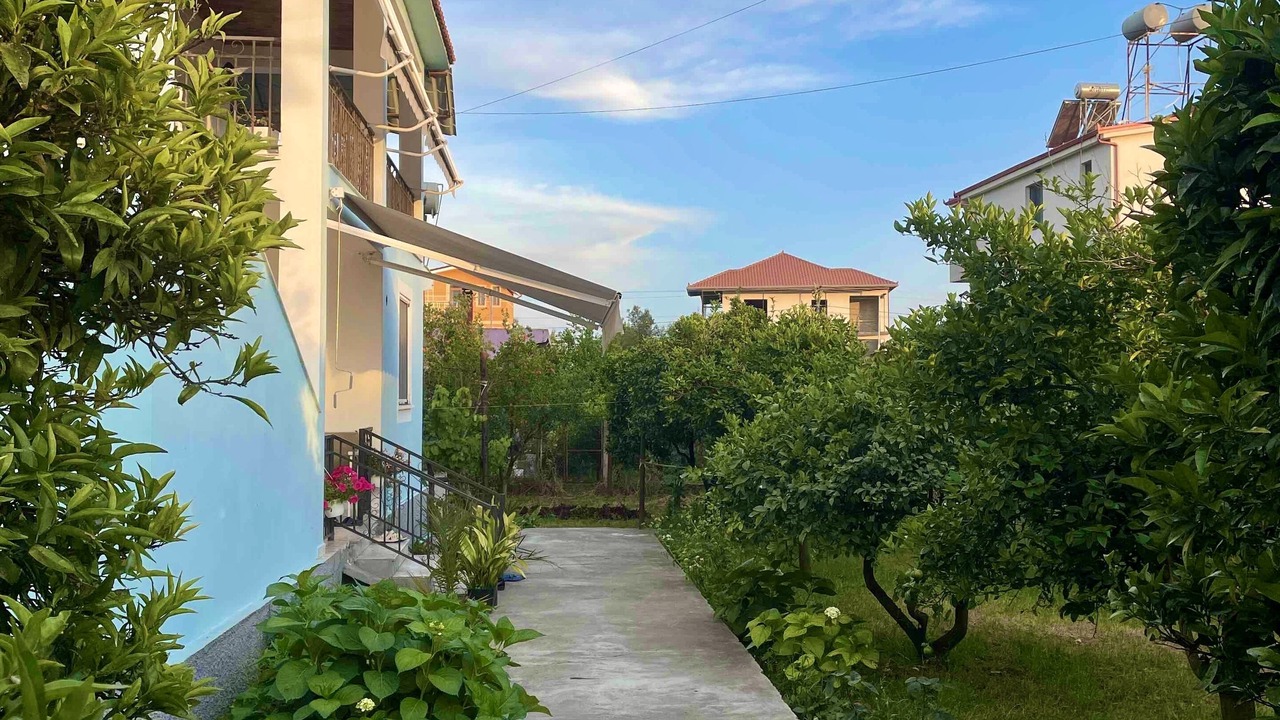 Photo of Outdoor in Divjake