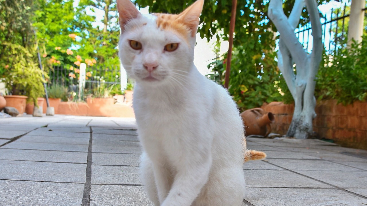 Photo of Outdoor in Gazi
