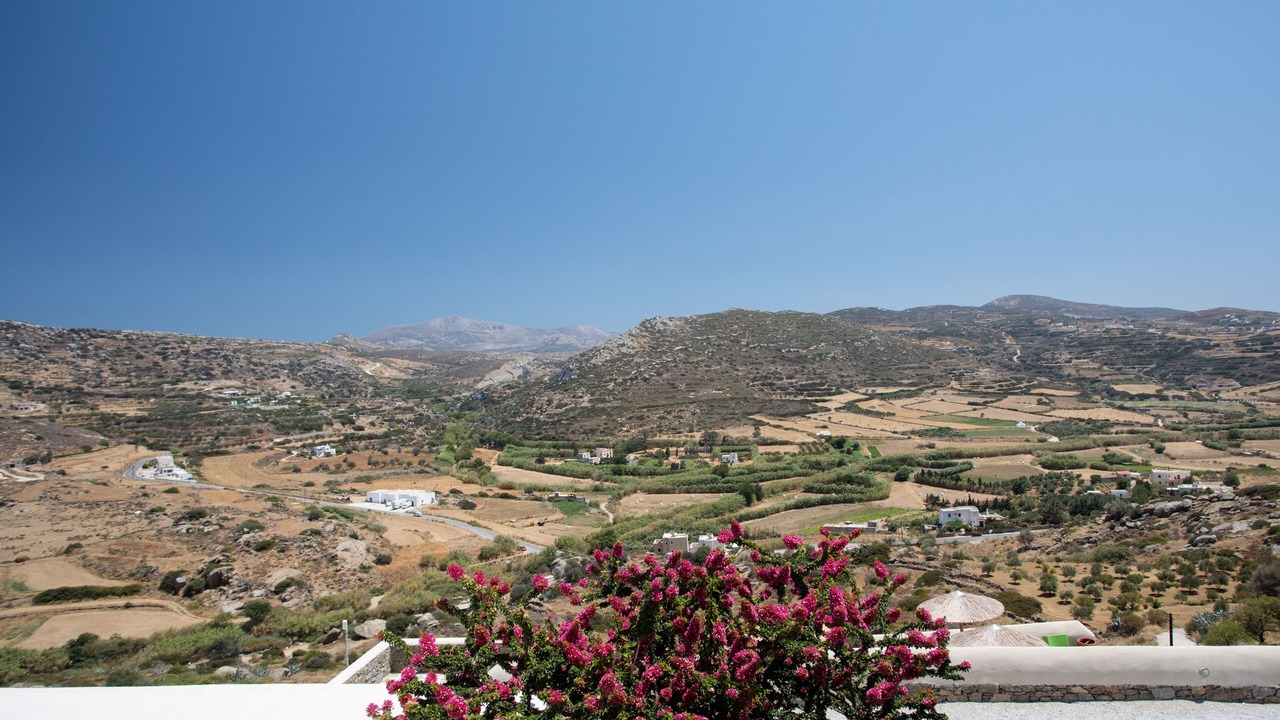 Photo of Others in Naxos