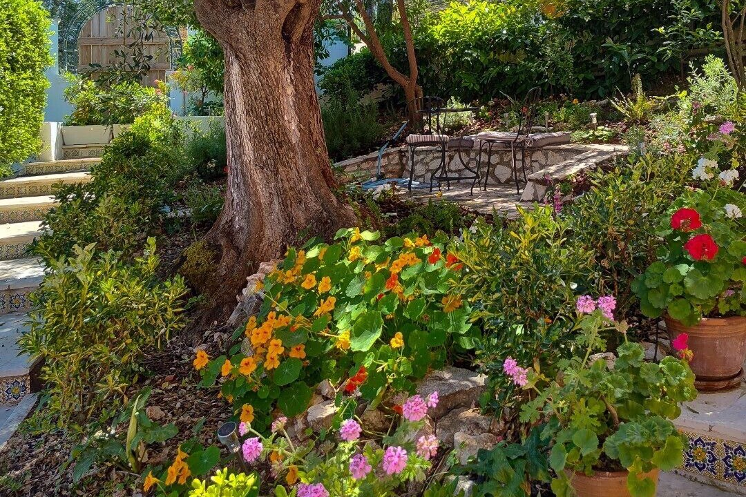 Photo of Outdoor in Petaleia