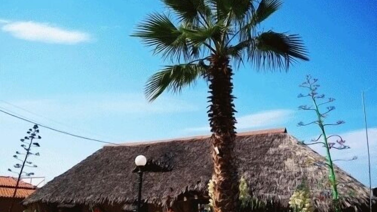Photo of Outdoor in Nea Propontida