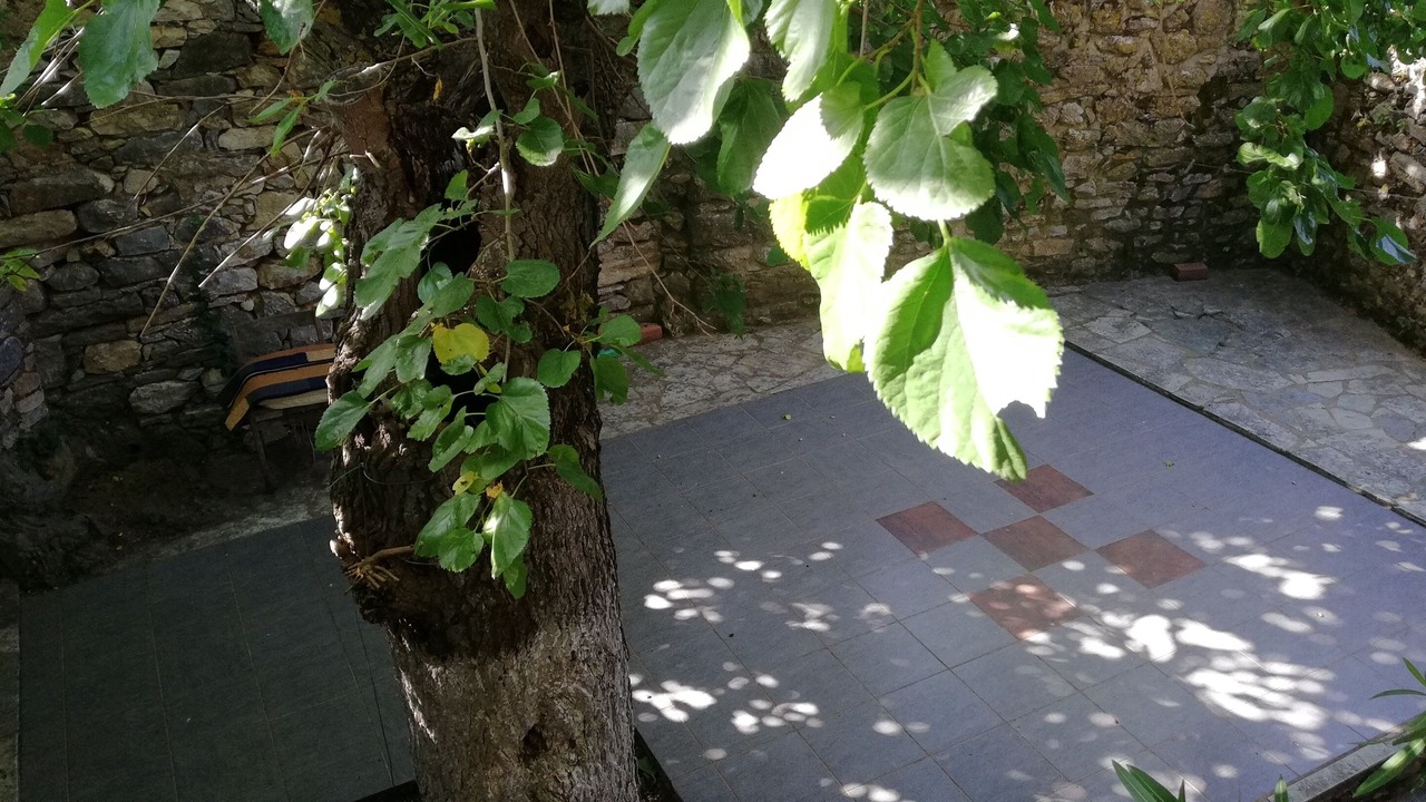 Photo of Outdoor in Lefktron