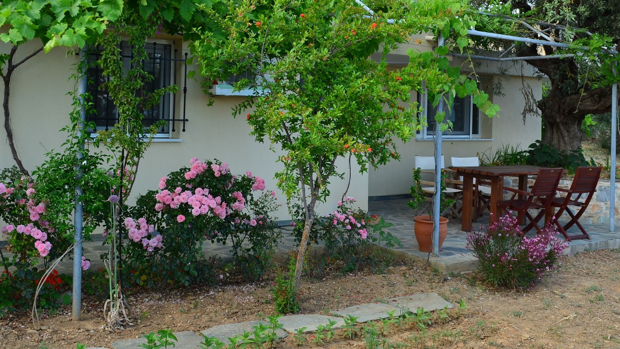 Photo of Others in Skiathos