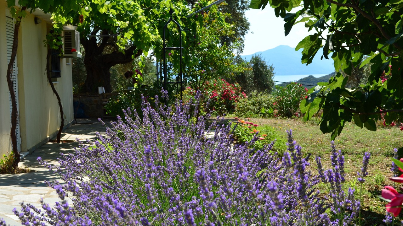 Photo of Outdoor in Skiathos