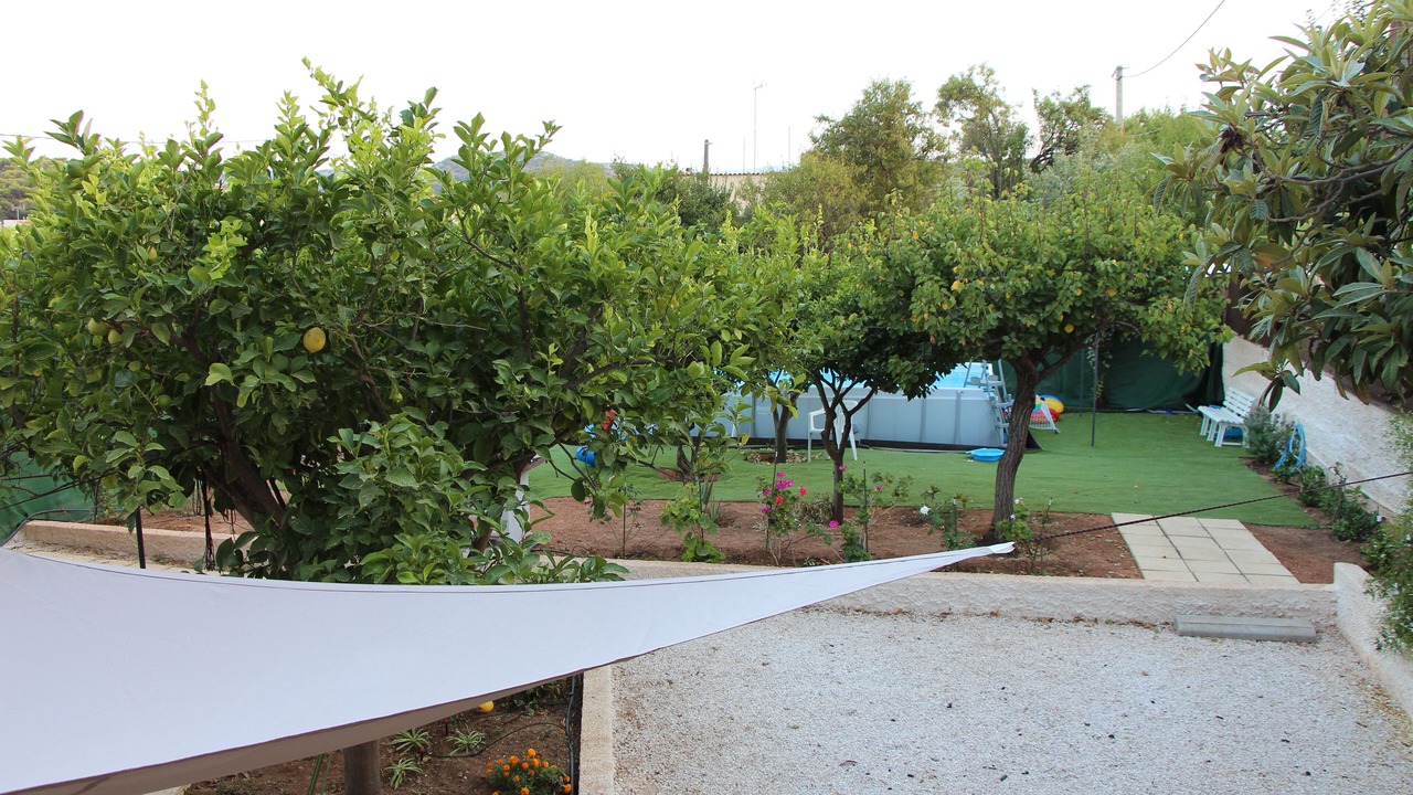 Photo of Outdoor in Spata-Artemida