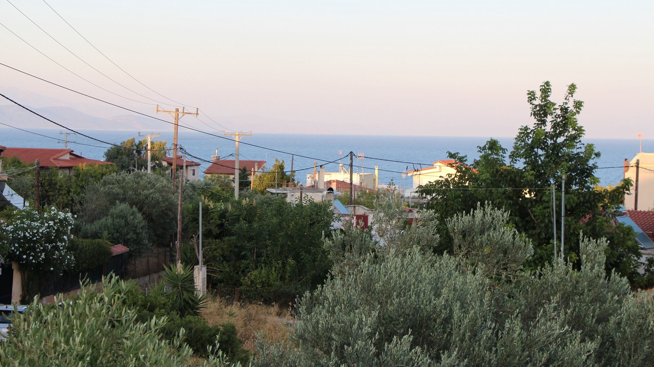 Photo of Others in Spata-Artemida