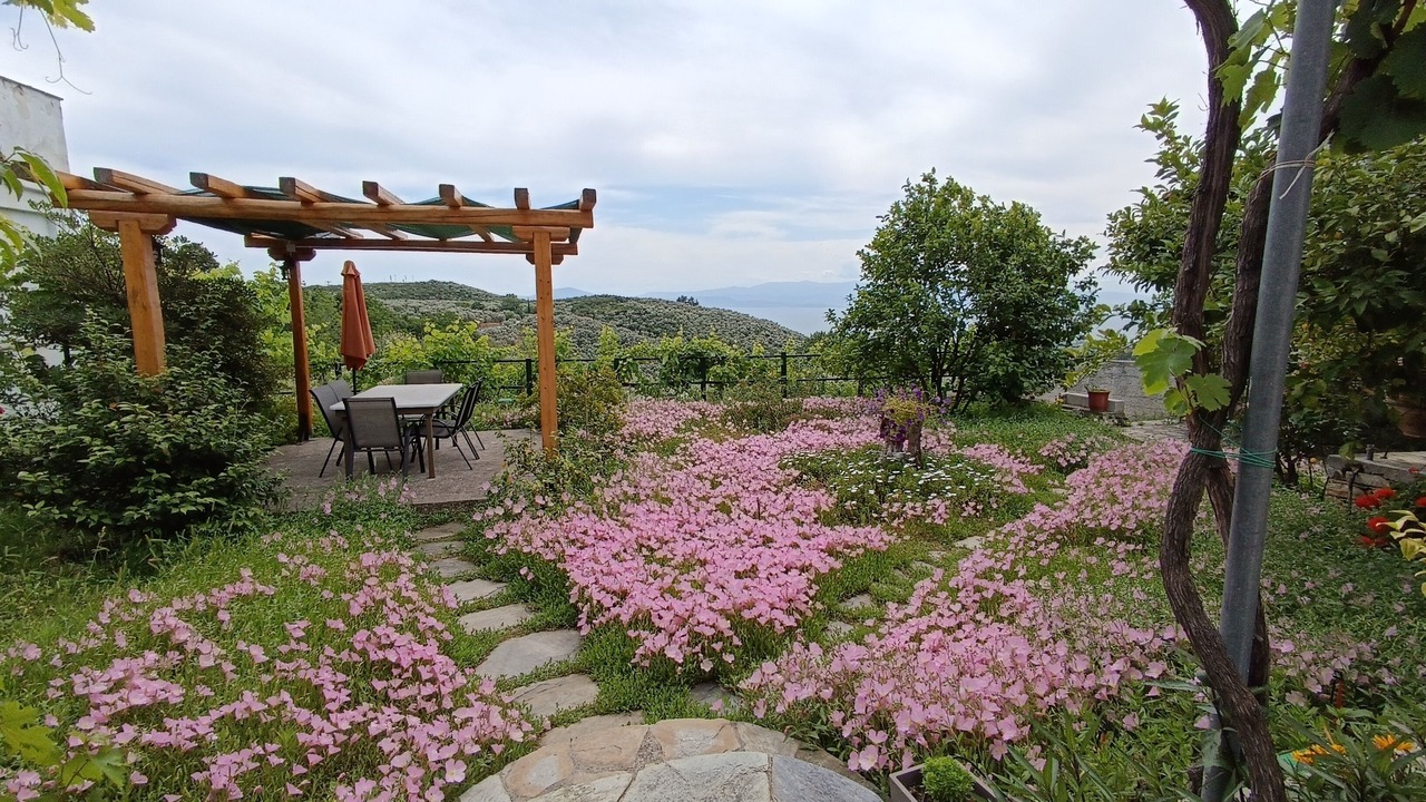 Photo of Outdoor in Agios Vlassios