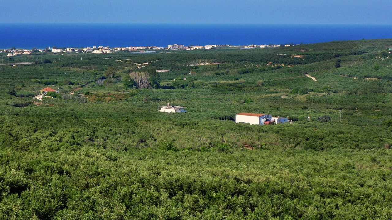 Photo of Others in Kamisiana