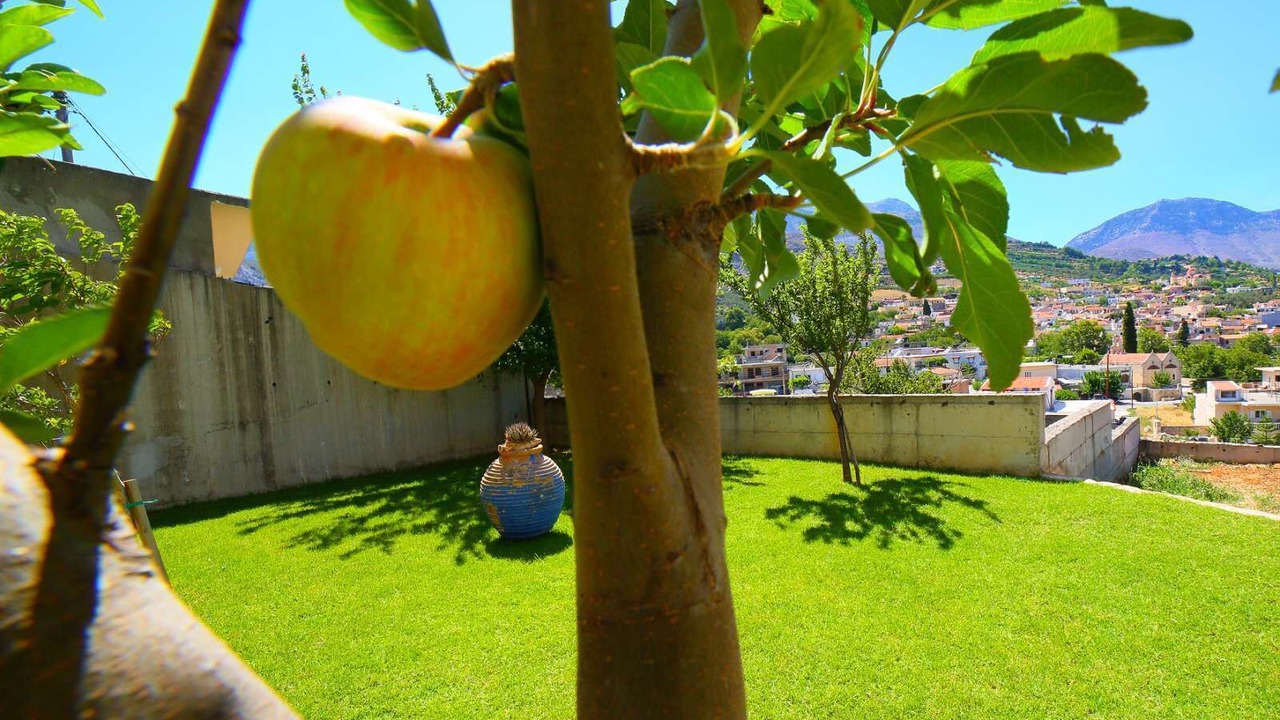 Photo of Outdoor in Asites