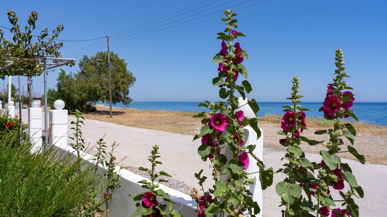 Photo of Outdoor in Kiotari