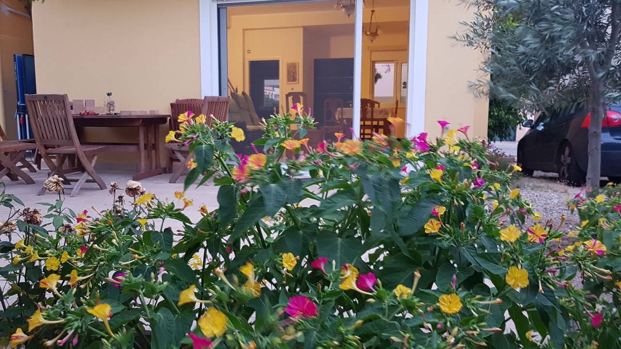 Photo of Outdoor in Palaia Fokaia