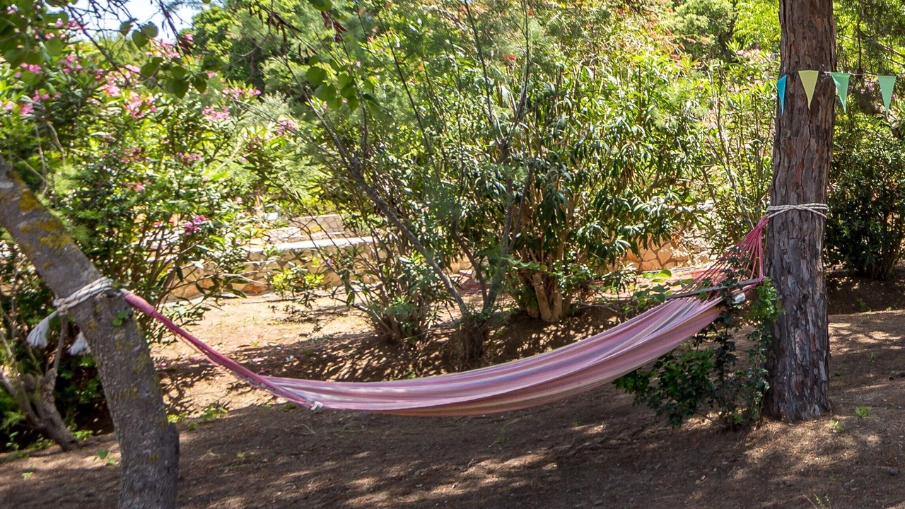 Photo of Outdoor in Vasilikos