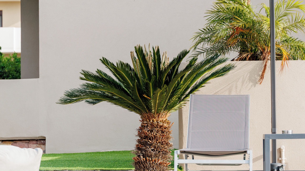 Photo of Outdoor in Ixia