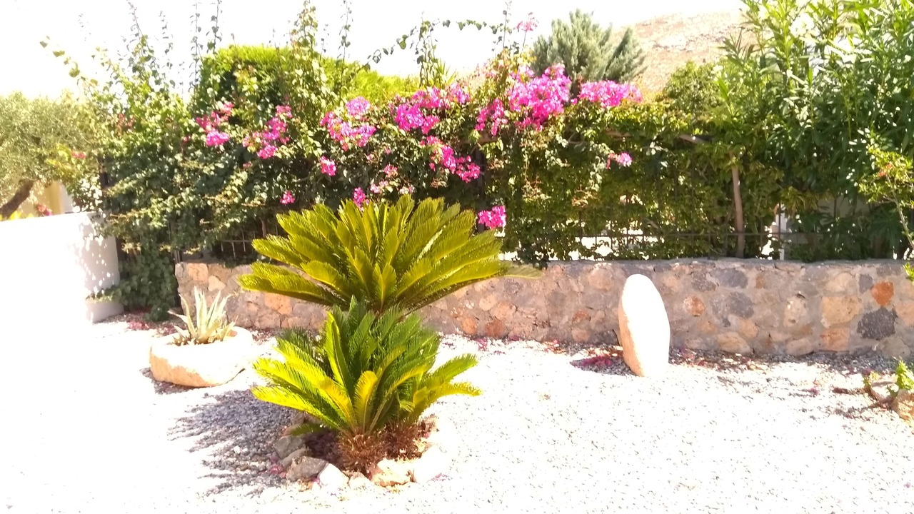 Photo of Outdoor in Lindos