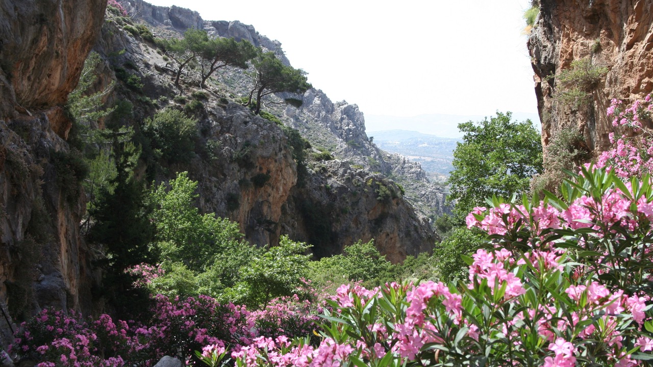 Photo of Outdoor in Sivas