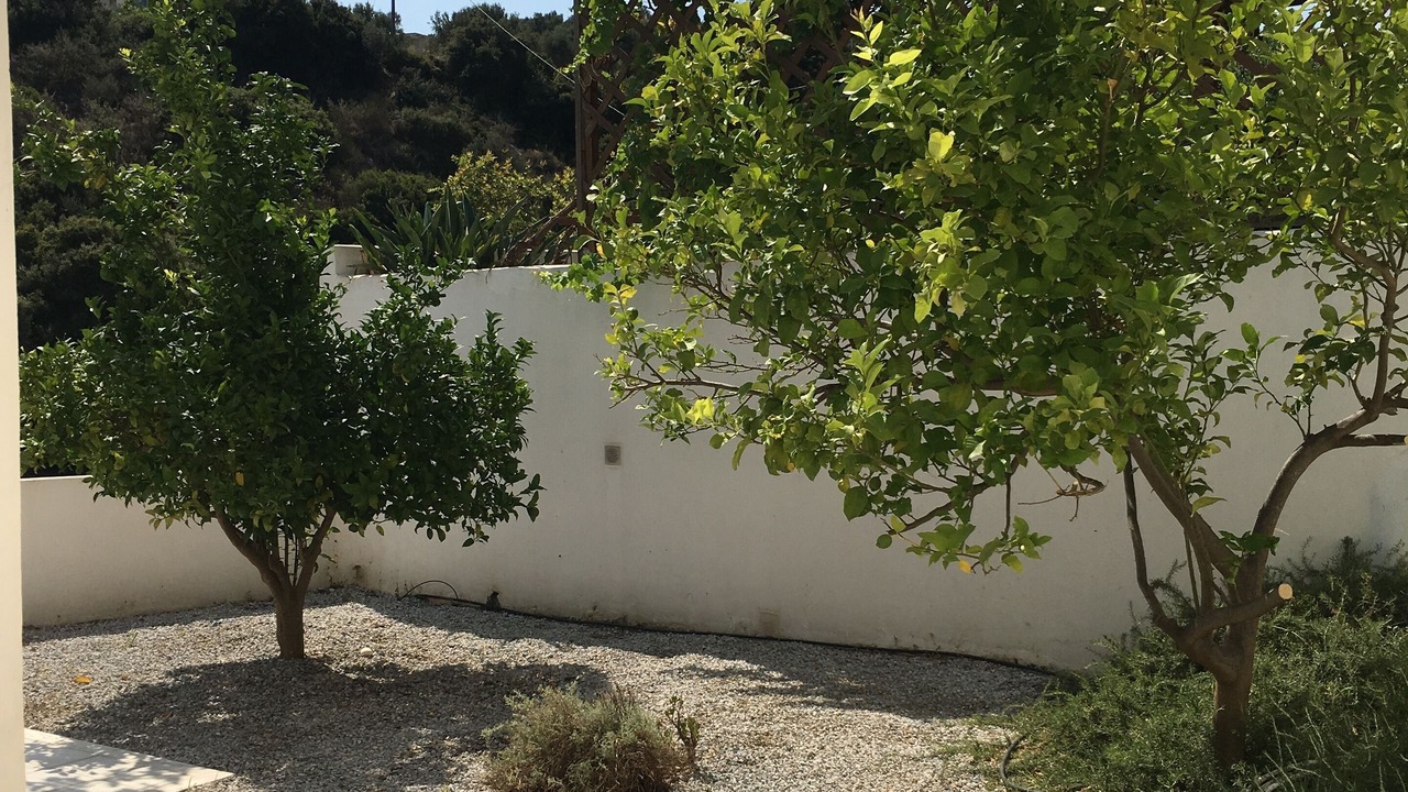 Photo of Outdoor in Rethymno