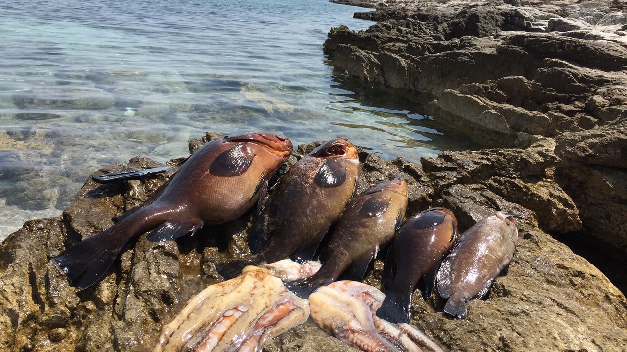 Photo of Others in Thasos