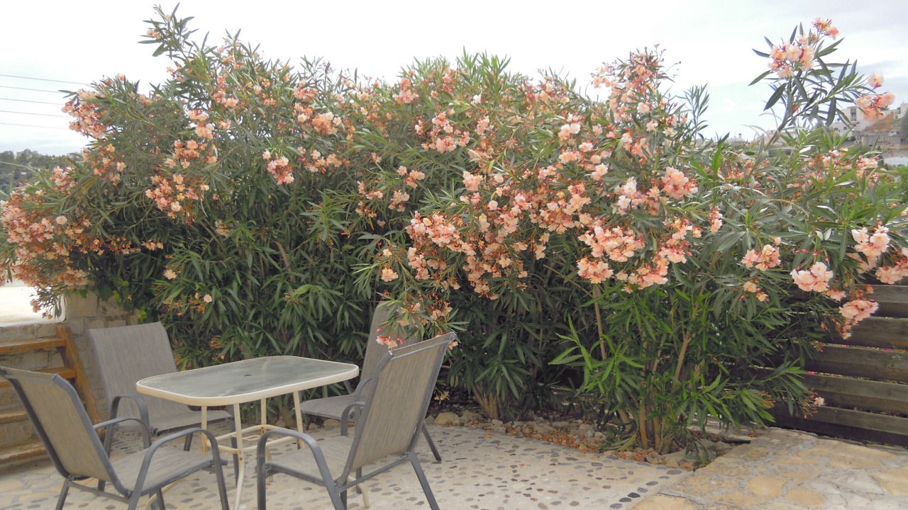 Photo of Outdoor in Kamilari