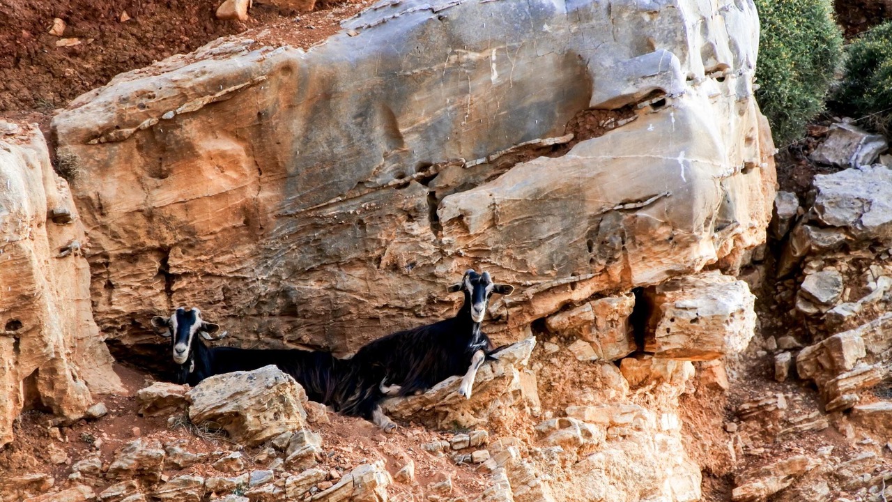 Photo of Outdoor in Aegiali