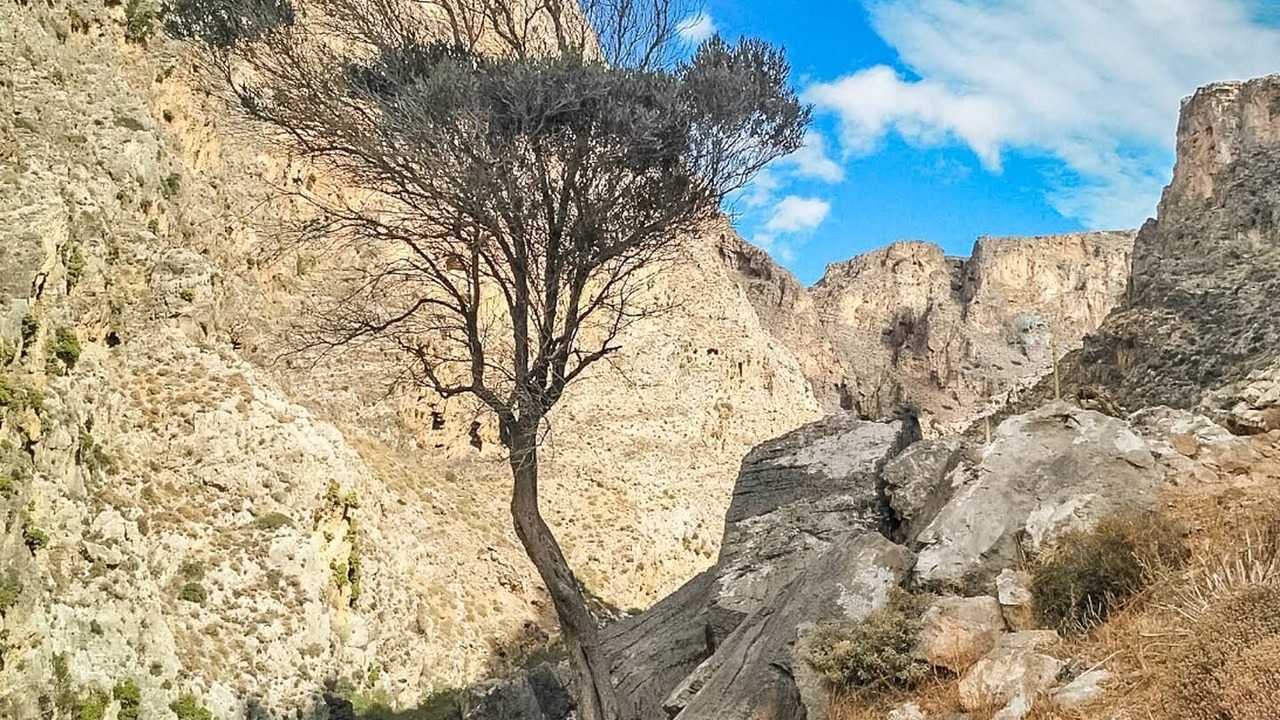 Photo of Others in Sitia