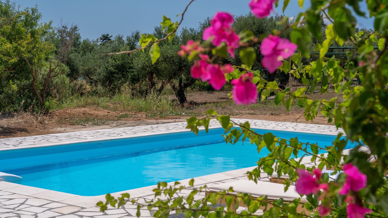 Photo of Outdoor in Paliki