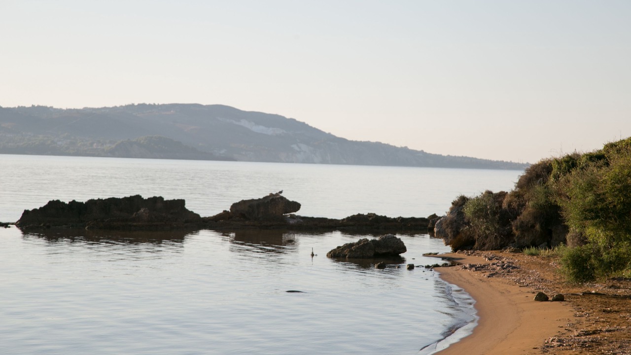 Photo of Others in Paliki