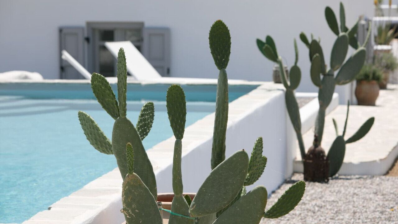 Photo of Outdoor in Naxos