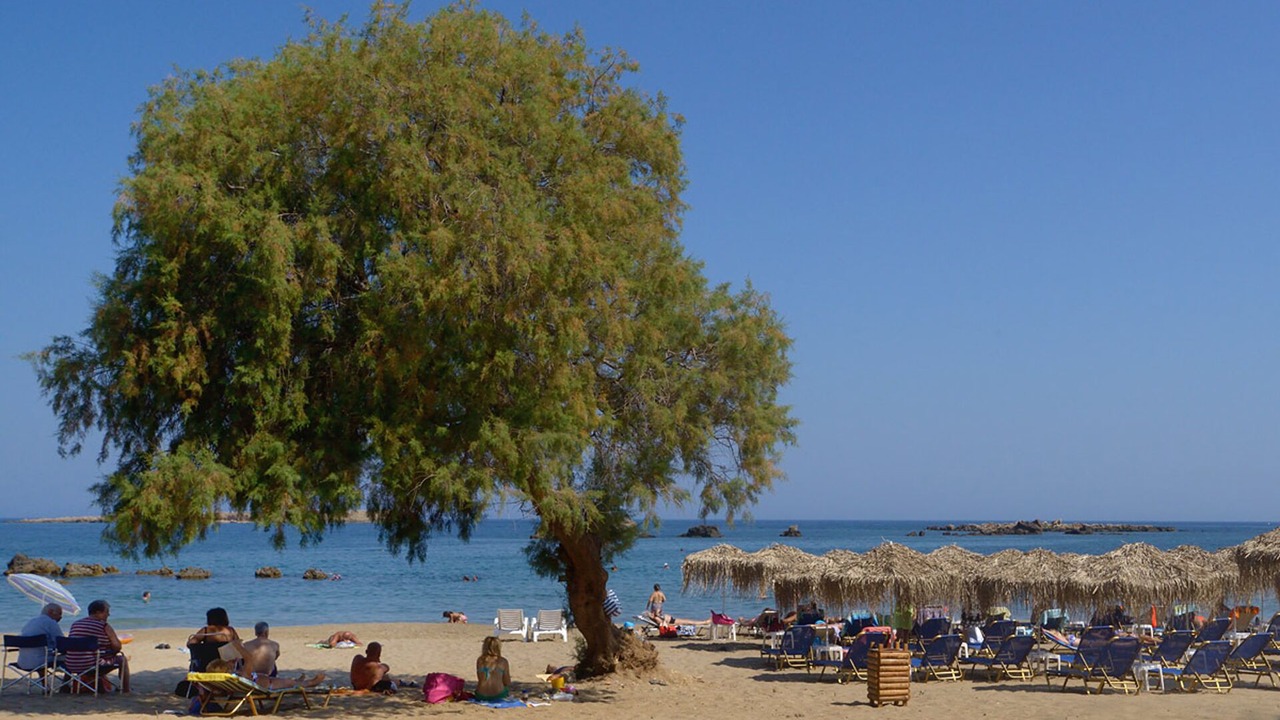 Photo of Others in Nea Chora