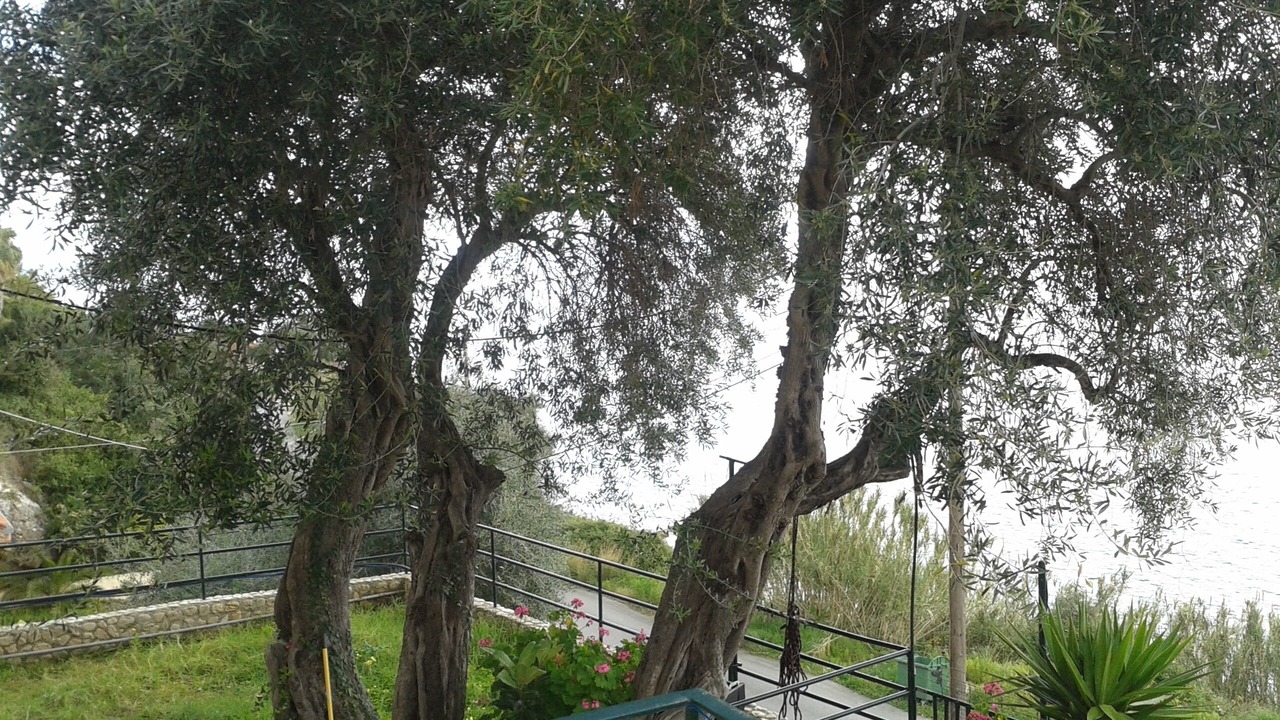 Photo of Outdoor in Agios Ioannis Peristeron