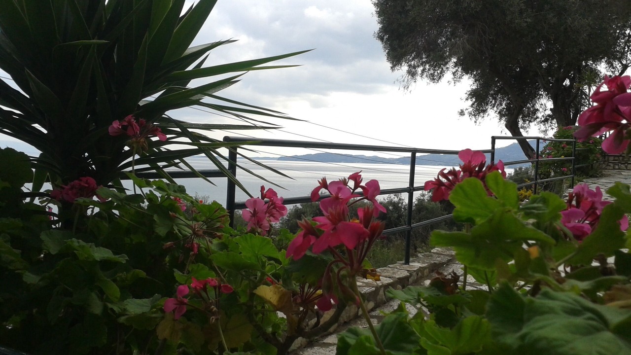 Photo of Outdoor in Agios Ioannis Peristeron