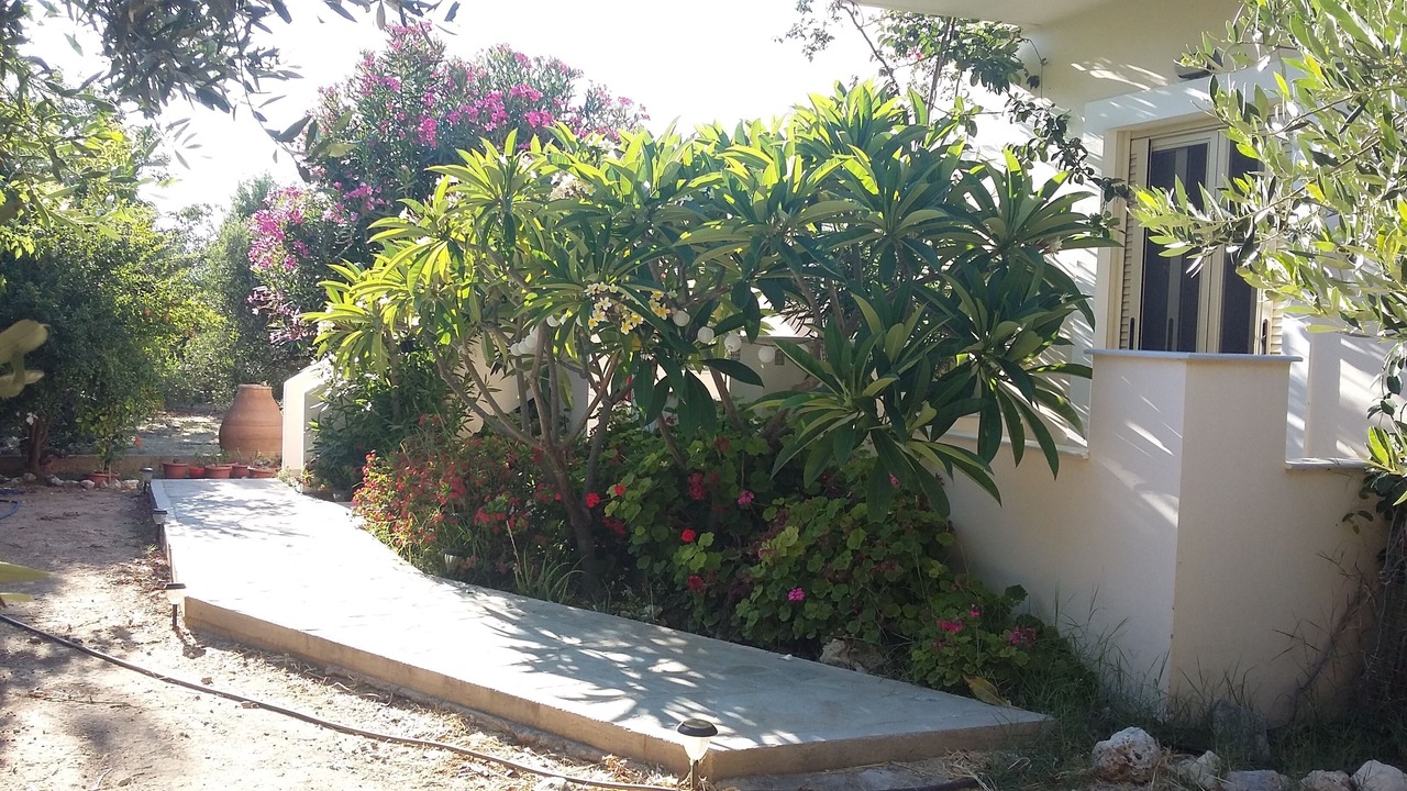 Photo of Outdoor in Sitia
