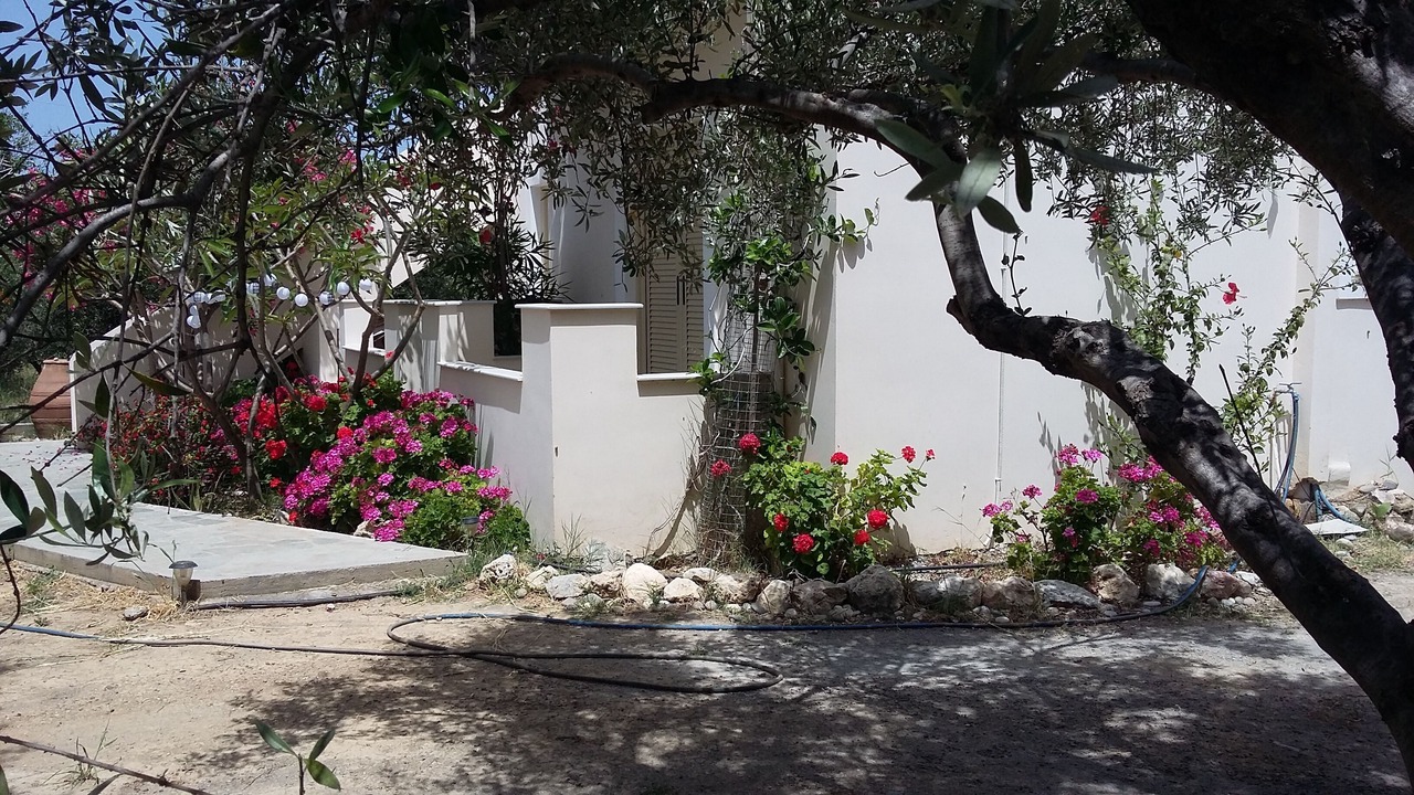 Photo of Outdoor in Sitia