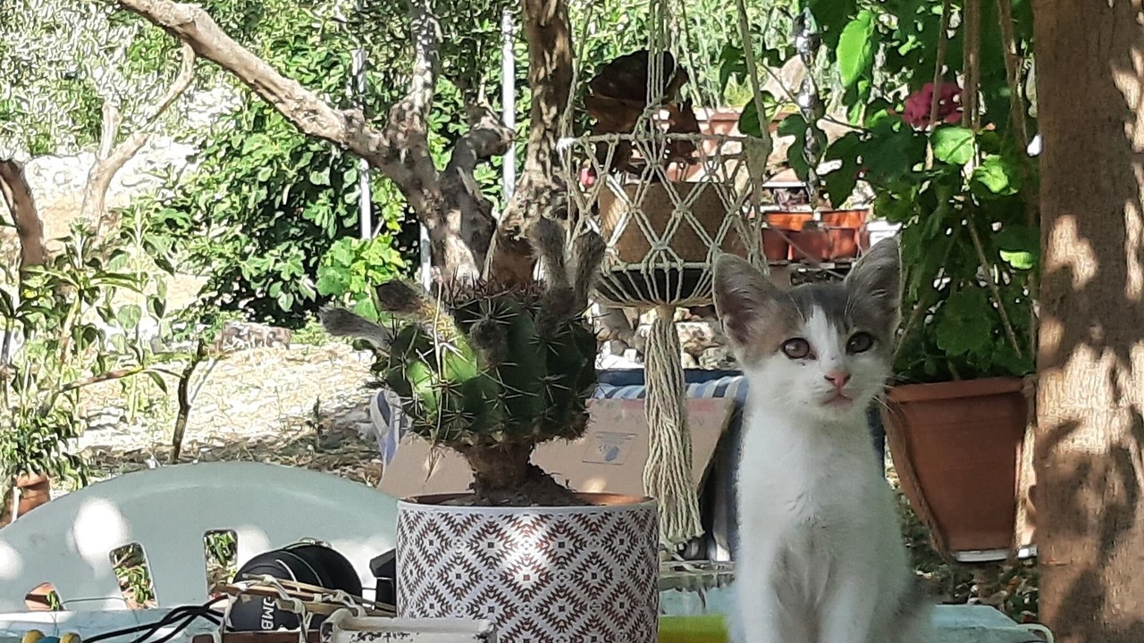 Photo of Outdoor in Sitia