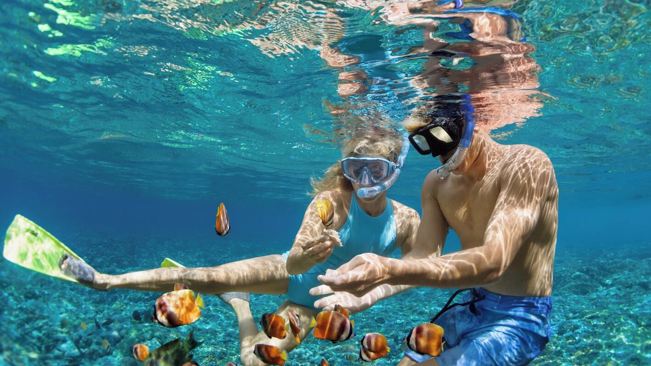 Photo of Others in Elliniko