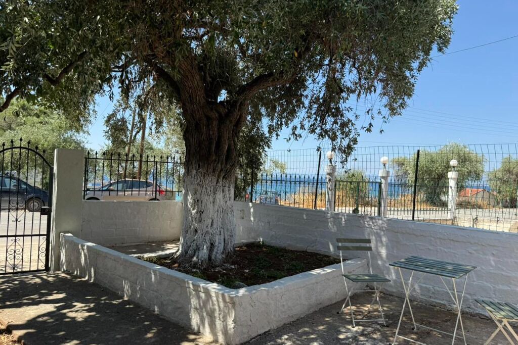 Photo of Outdoor in Megalos Prinos