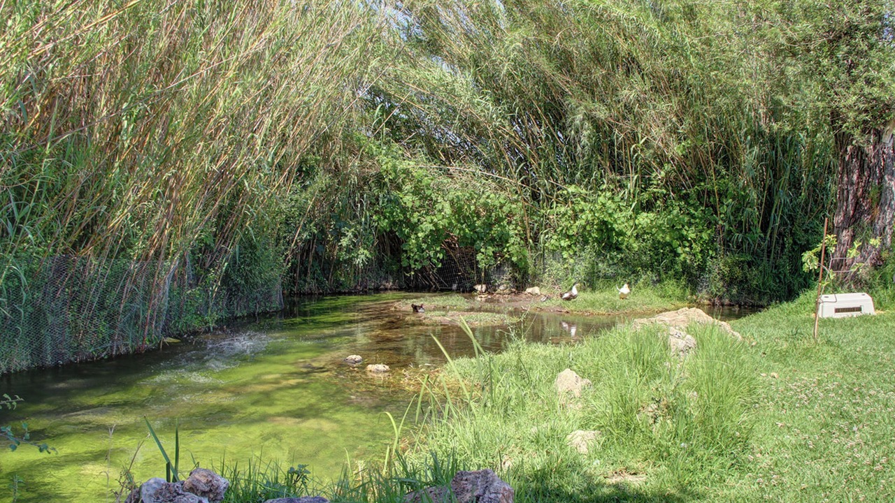Photo of Others in Kalyves
