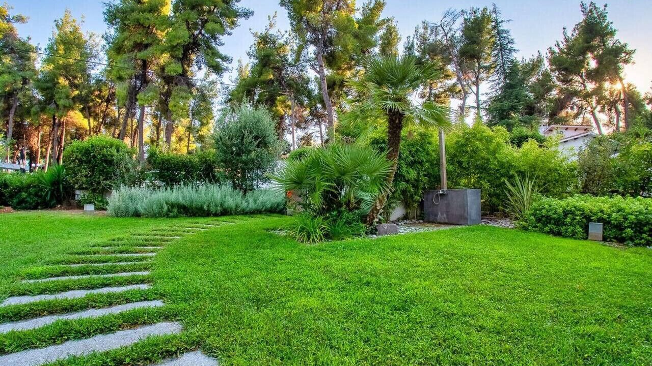 Photo of Outdoor in Sane
