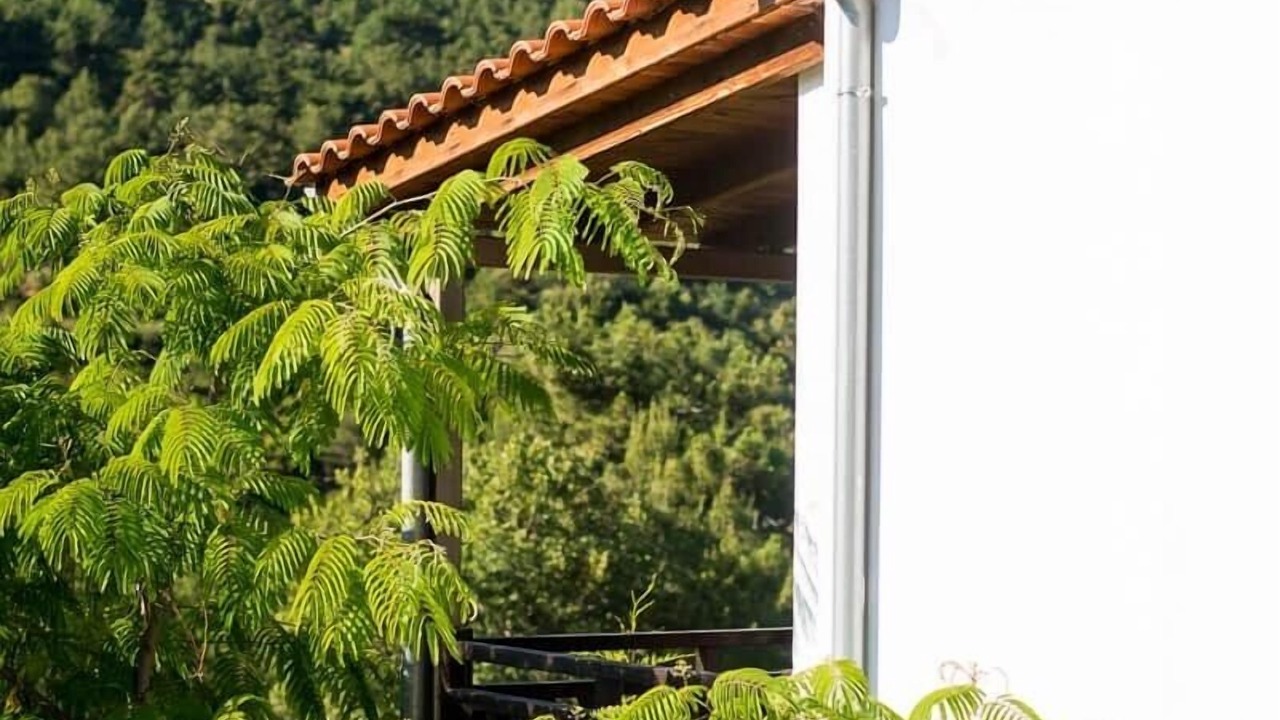 Photo of Outdoor in Megalos Prinos