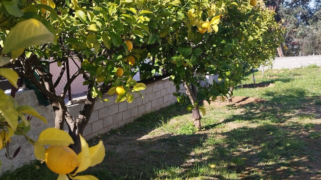 Photo of Outdoor in Isthmia