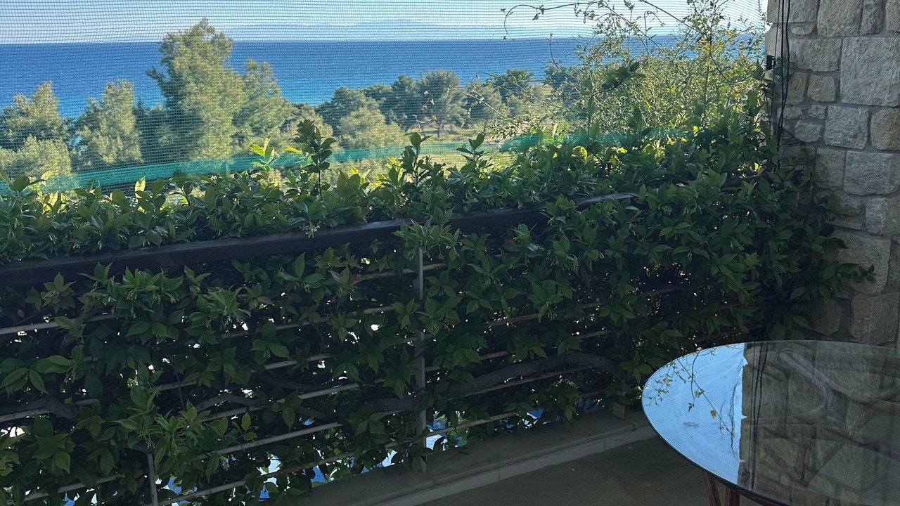Photo of Patio Balcony in Kassandra