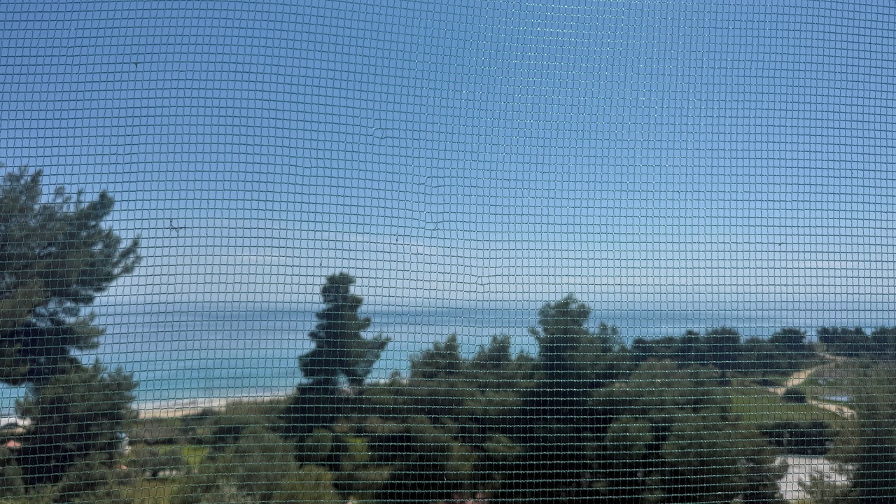 Photo of Others in Kassandra