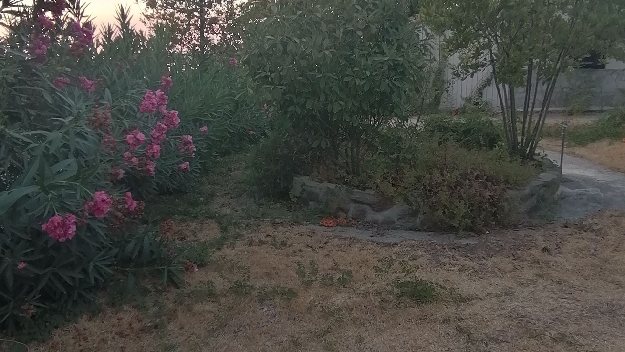 Photo of Outdoor in Vourvourou