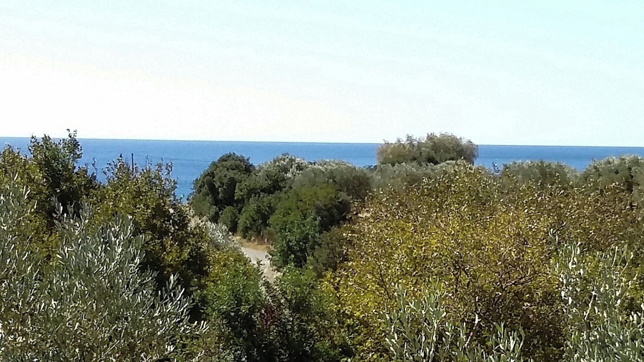 Photo of Others in Palaiochora
