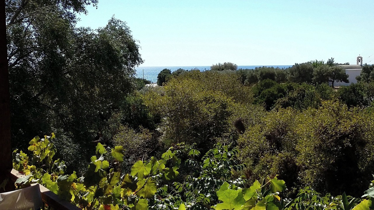 Photo of Others in Palaiochora