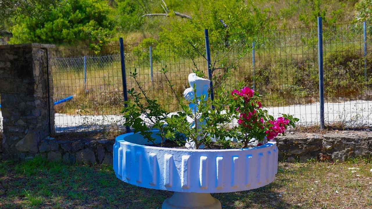 Photo of Outdoor in Koutsi