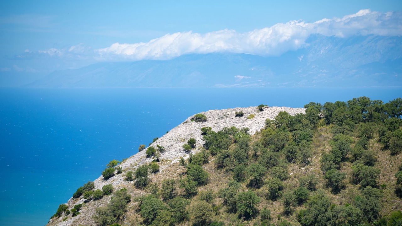 Photo of Others in Petaleia
