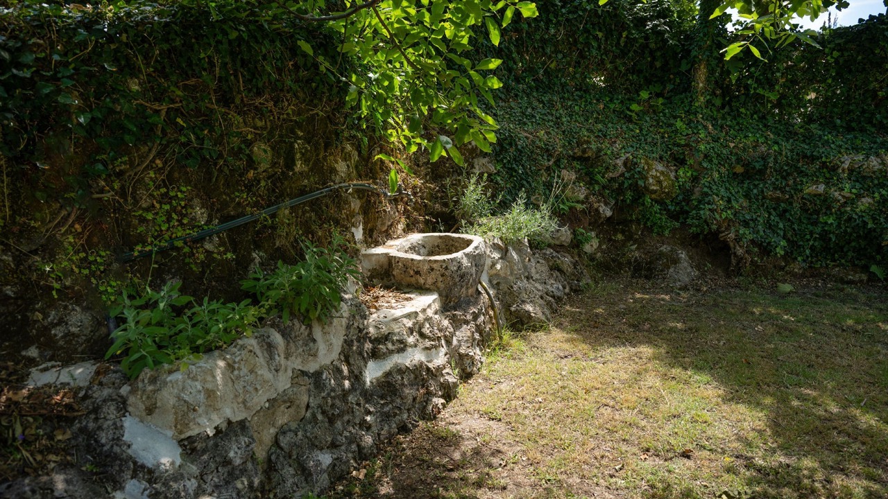 Photo of Outdoor in Petaleia