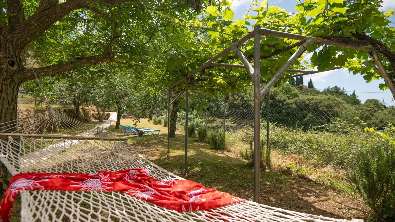 Photo of Outdoor in Petaleia